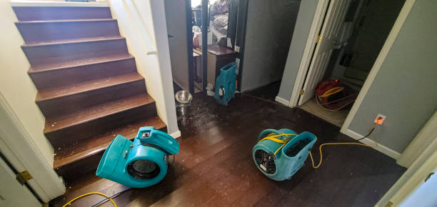 Best 24/7 water damage repair  in West Middlesex, PA