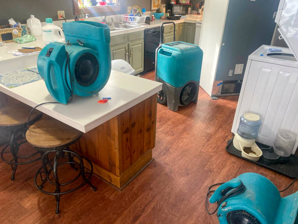 Best Sewage cleanup and water damage restoration  in West Middlesex, PA