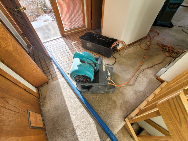 Best Ceiling water damage repair  in West Middlesex, PA
