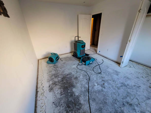 Best Flood restoration services  in West Middlesex, PA