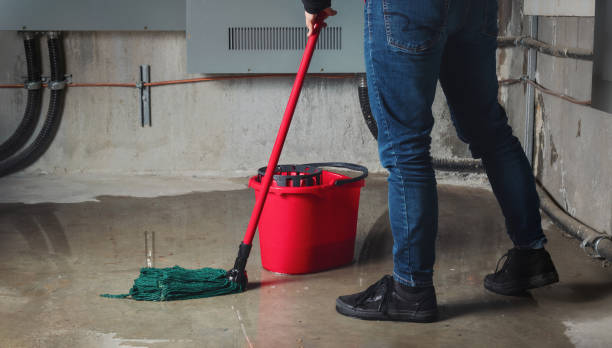 Best Basement water damage restoration  in West Middlesex, PA