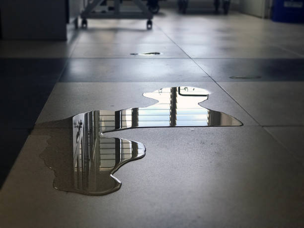 Best Water damage restoration experts  in West Middlesex, PA