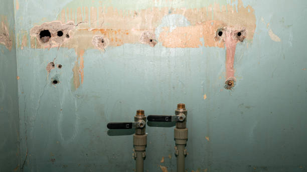 Best Water damage cleanup near me  in West Middlesex, PA
