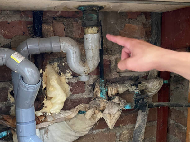 Best Flooded house restoration  in West Middlesex, PA
