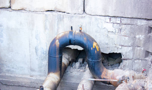 Best Mold removal after water damage  in West Middlesex, PA