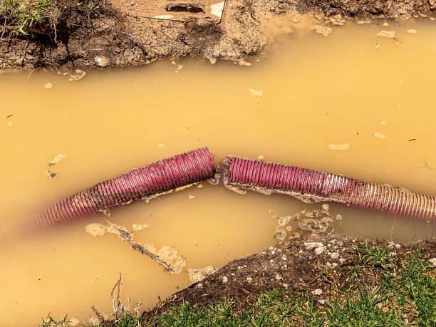 Reliable West Middlesex, PA Water damage restoration Solutions