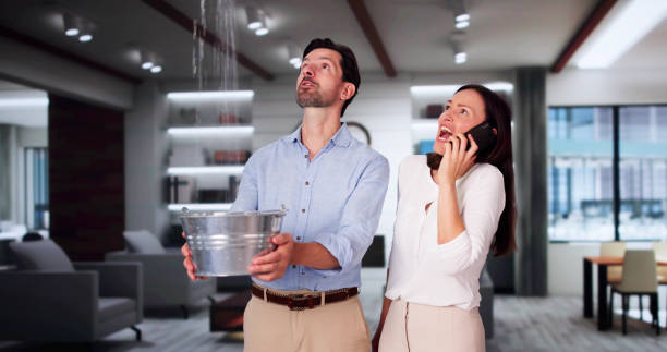 Best Mold removal after water damage  in West Middlesex, PA