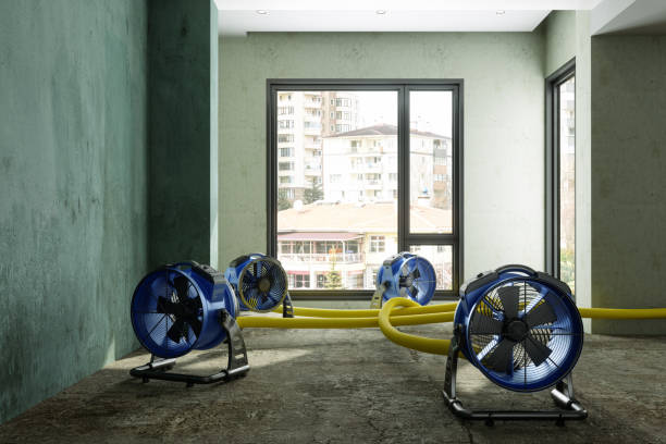 Best Fire Damage Restoration  in West Middlesex, PA